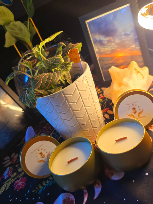Serenity Essence 🍹✨🥥🍍🏝️